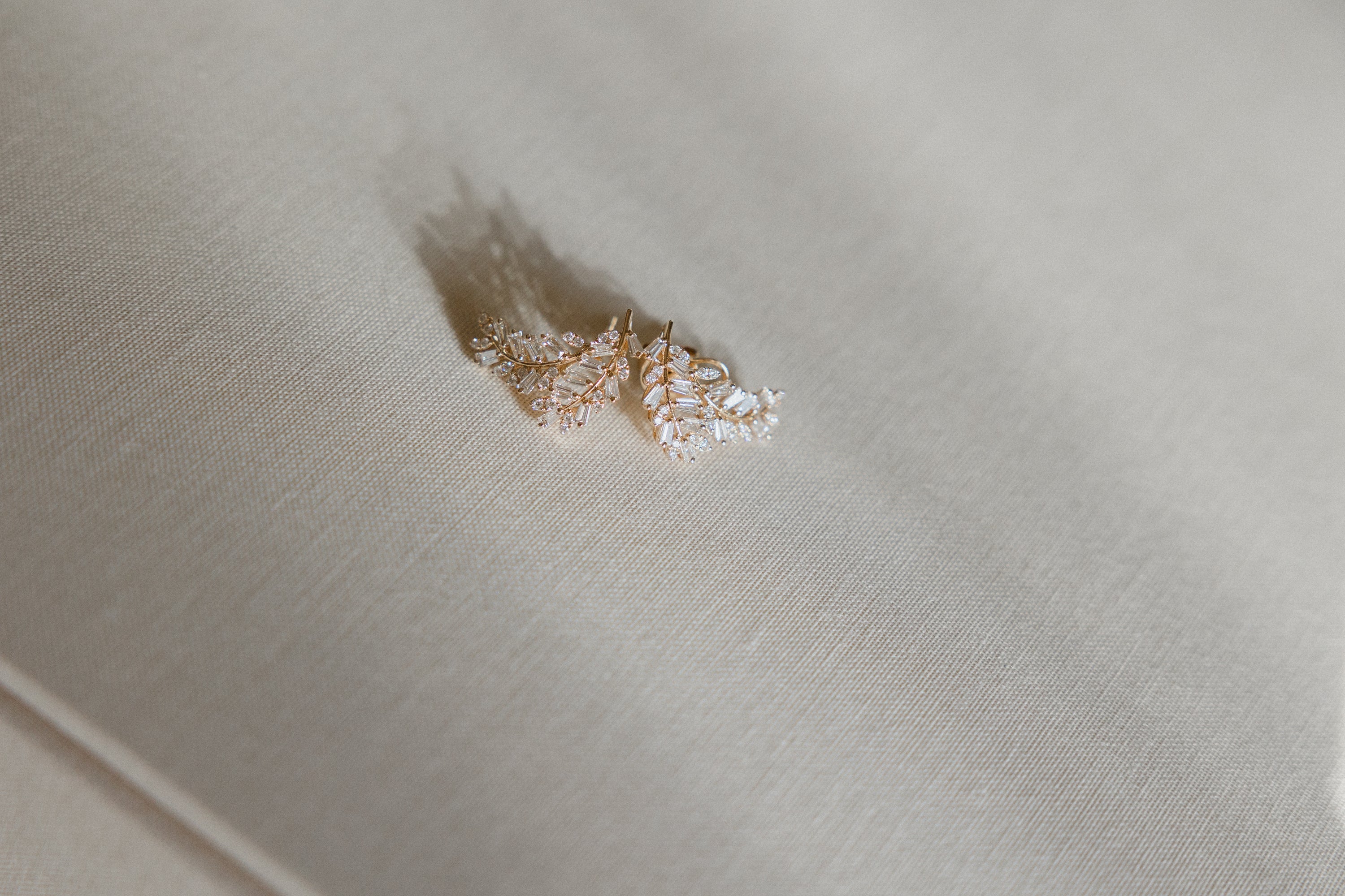 Aretes Hojas Ascendentes